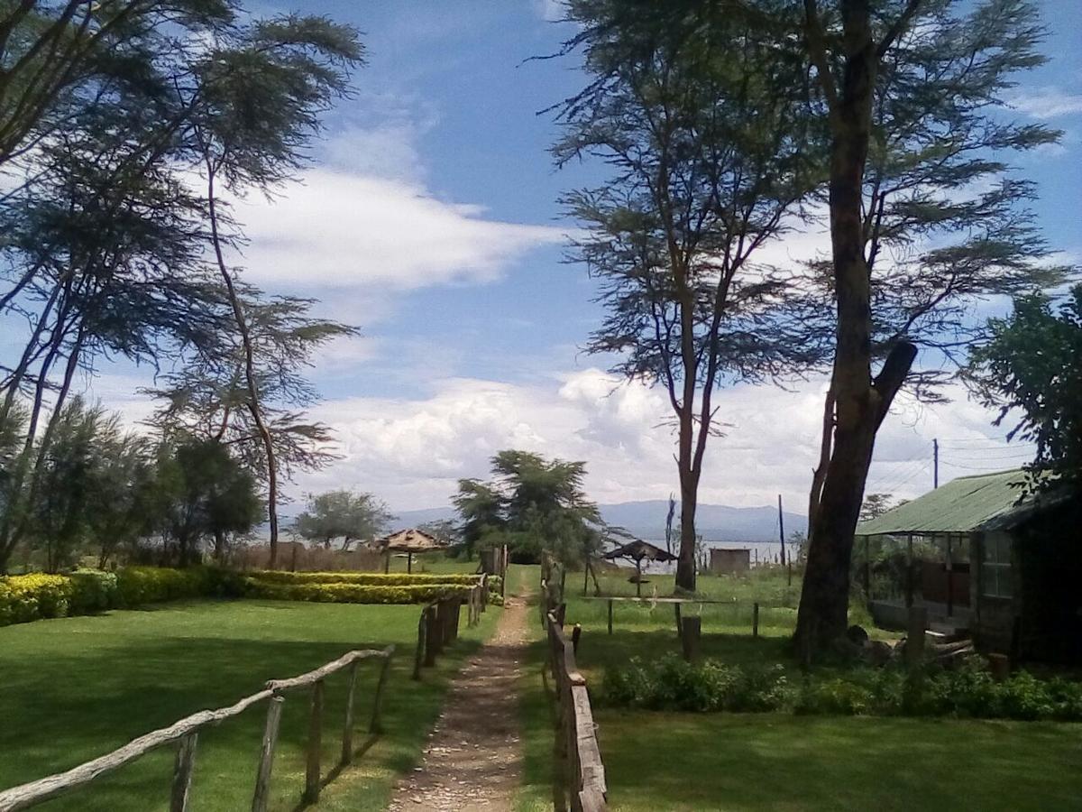 Hippo Safaris Resort Naivasha Luaran gambar