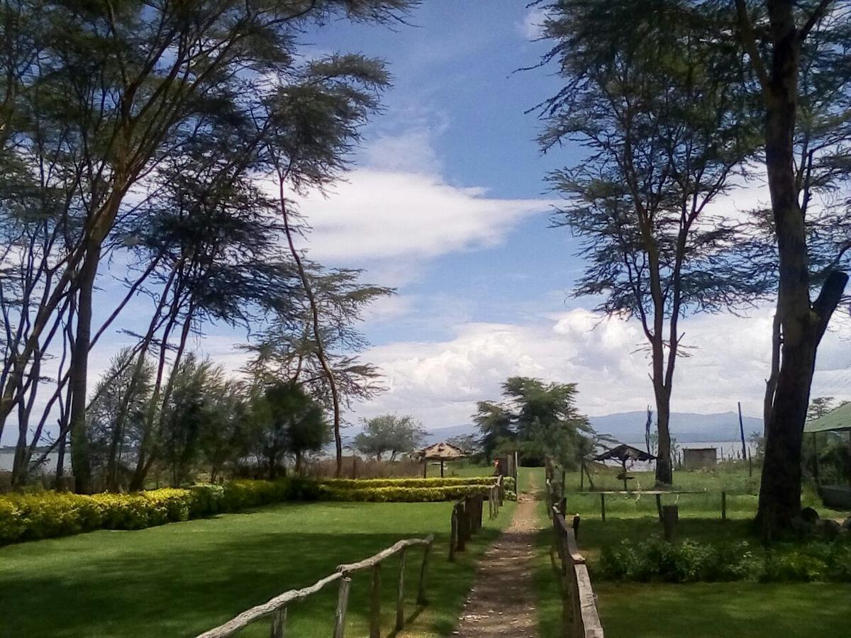 Hippo Safaris Resort Naivasha Luaran gambar