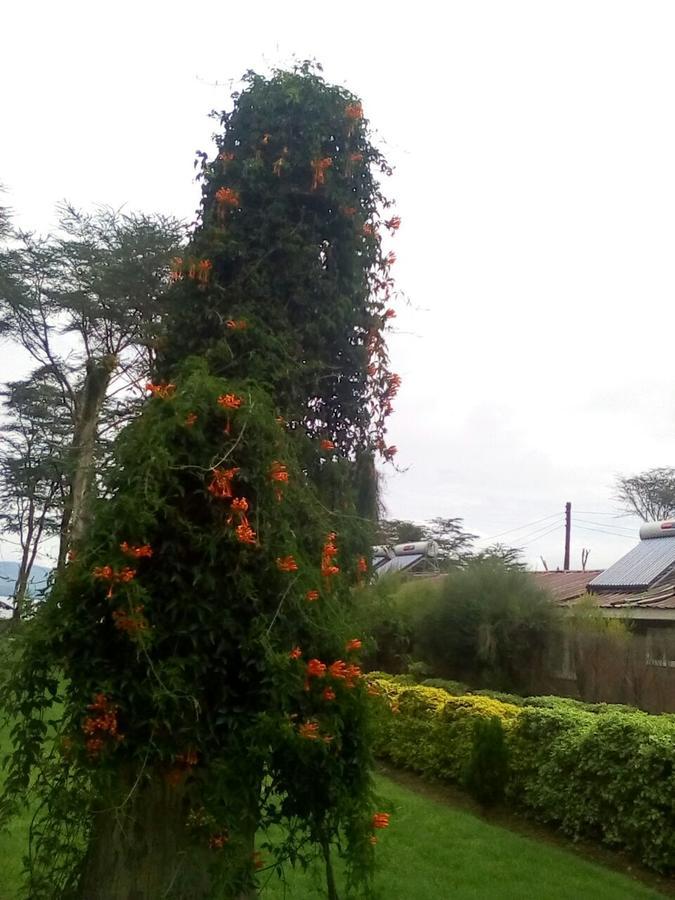 Hippo Safaris Resort Naivasha Luaran gambar