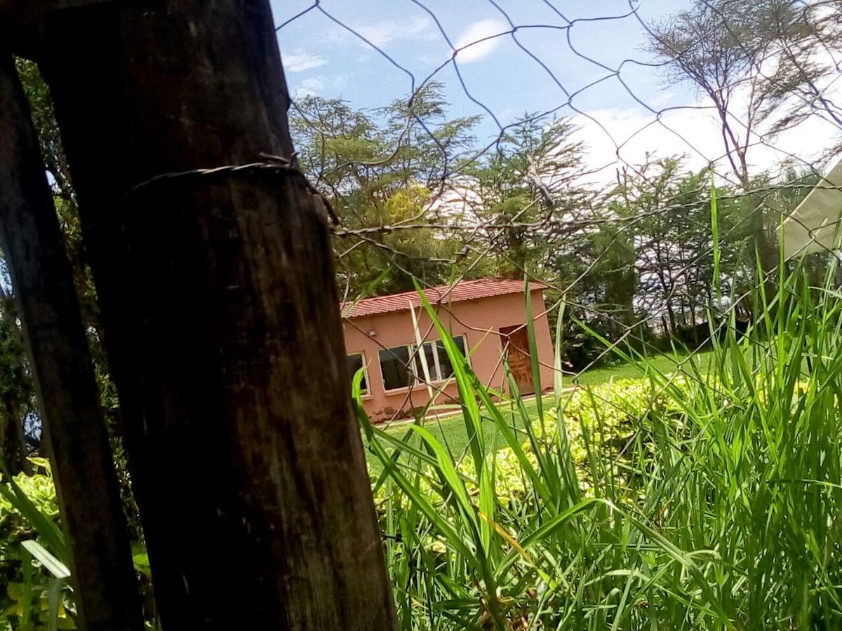 Hippo Safaris Resort Naivasha Luaran gambar